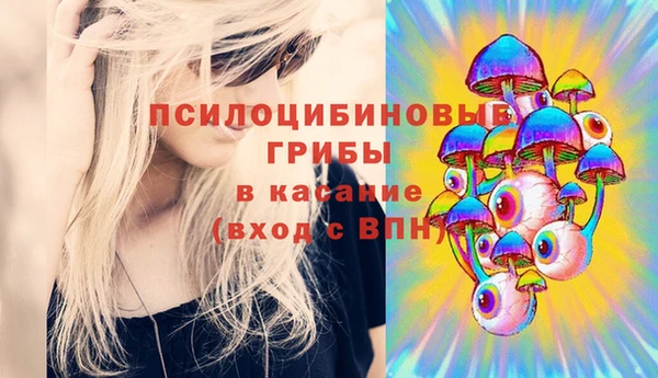 гидра Дмитриев