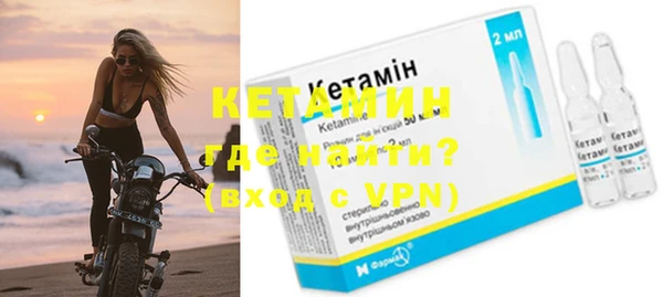 гашик Дмитров