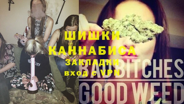 стаф Алексеевка