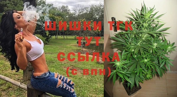 стаф Алексеевка